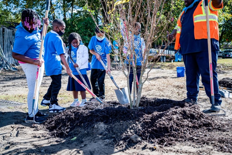 A volunteer crew at a planting drive