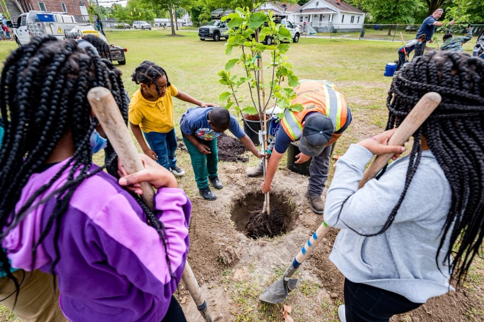 Young volunteers planting a sapling together