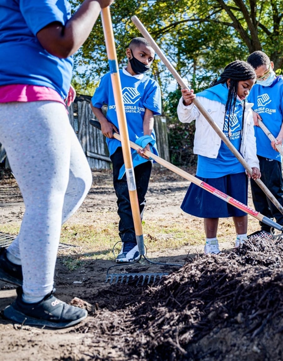 Volunteers planting a young tree with shovels
