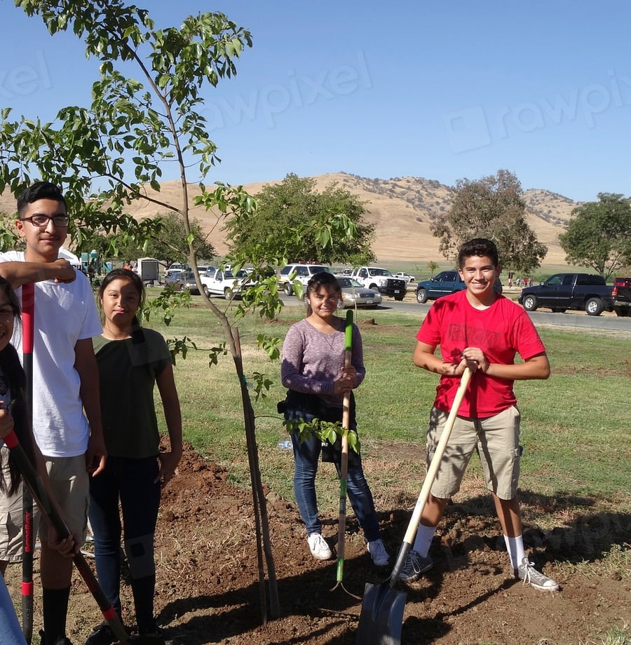 Volunteers beside a newly planted tree